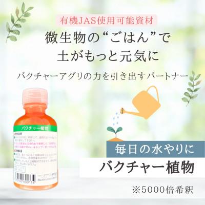 ふるさと納税 津山市 バクチャー植物【植物の栄養材】