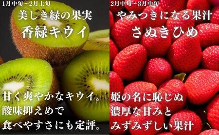 フルーツ定期便 9回  ﾌﾙｰﾂﾌﾙｰﾂﾌﾙｰﾂﾌﾙｰﾂﾌﾙｰﾂ 定期便定期便 香川県 丸亀市