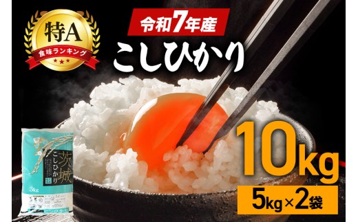 コシヒカリ 米 10kg ( 5kg ×2 ） 白米 こめ こしひかり 国産 国産米 取り寄せ 令和7年産 ごはん ご飯 コメ お取り寄せ お弁当 弁当 おにぎり 産地直送 特産  ギフト プレゼント 贈り物 茨城県 笠間市 いばらき