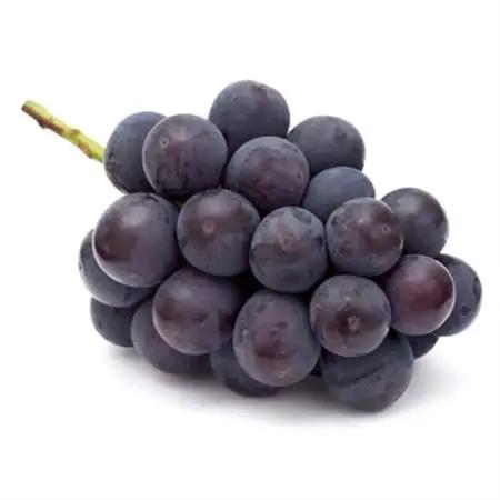 【発送月固定定期便】山梨旬の味覚定期便【桃 約2kg/2色葡萄 1kg以上】全2回【配送不可地域：離島】【4082866】