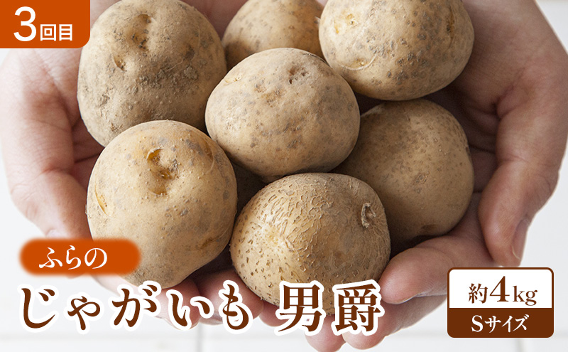【2026年春～秋発送】定期便 3ヵ月 初夏の彩り満喫 野菜セッ
