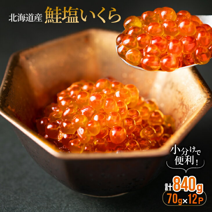 【ふるさと納税】小分けで便利！鮭塩いくら(70g×12)[02-1062] 北海道 浦河 ふるさと納税 北海道産 北海道日高産 いくら 塩いくら 小分け パック 送料無料