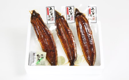 温泉うなぎ蒲焼 3尾（180gサイズ） 国産うなぎ＜104-016_5＞