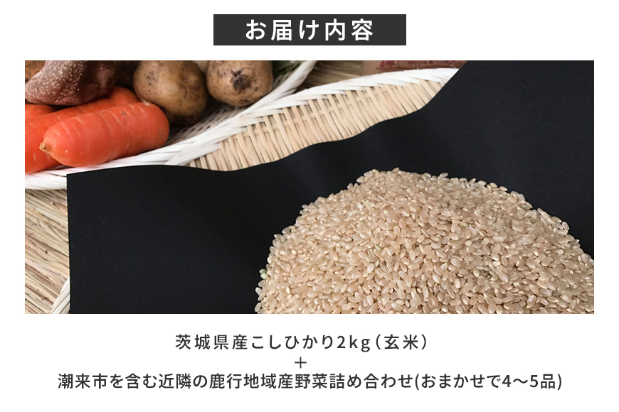 ＜玄米 2kg＞『身体が喜ぶ野菜とお米』詰め合わせ おまかせセット 茨城県産 コシヒカリ 米 お米 ご飯 ごはん 栽培期間中農薬不使用 季節の野菜 セット 微生物農法 EM農法 有機栽培 産地直送 新