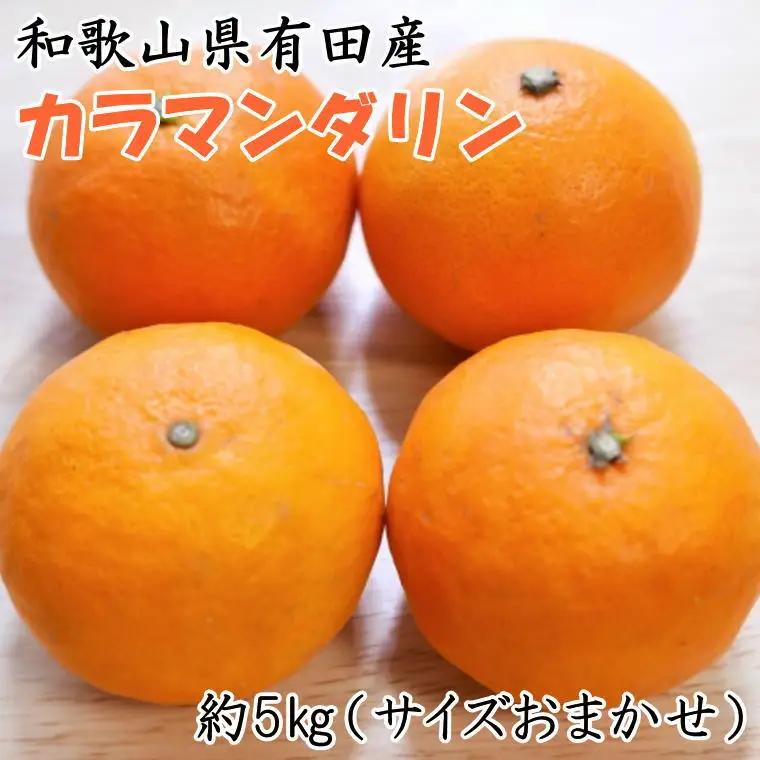 【春みかん】 和歌山 有田産 カラマンダリン 5kg (サイズおまかせ) ※2027月4月上旬～5月中旬頃に順次発送予定【tec015-r-5】