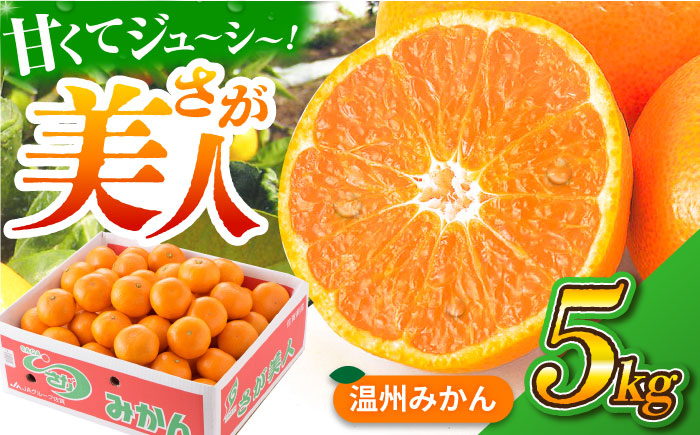 
            【厳しい基準をクリアしたみかん】 佐賀みかん （さが美人）5kg 【JAさが 杵島支所】 [HAM086] みかん 佐賀みかん 温州みかん さが美人 佐賀県 ミカン 果物 フルーツ
          