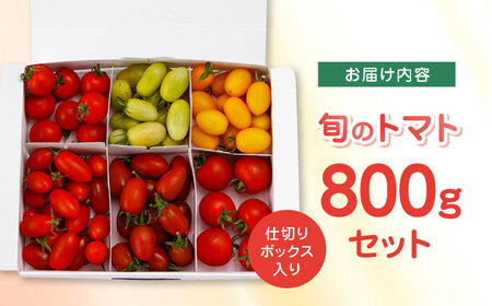 トマト ミディトマト 詰め合わせ 800g トマト トマト トマト トマト トマト [YDE002]