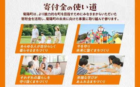 【応援寄附金】熊本県菊陽町 1口 5，000円 返礼品なしのご寄附　【菊陽町】[BHZZ002]