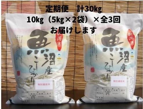 【令和６年産新米予約／令和6年9月下旬より順次発送】【３か月定期便】がんこおやじが作った南魚沼産コシヒカリ白米１０kg（５kg×２袋）