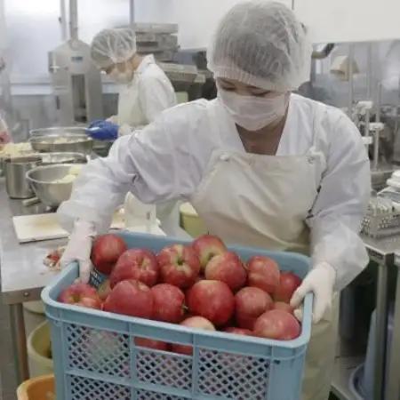 ジュース にんじん 旬素材 1L 6本 / 宮守川上流生産組合 遠野産 100%【1634969】