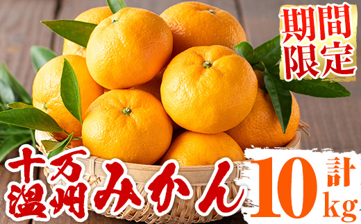 s498 ≪期間限定≫十万温州みかん(計約10kg・M～Lサイズ) 鹿児島 国産 九州産 フルーツ 柑橘 みかん 蜜柑 【田野農園】
