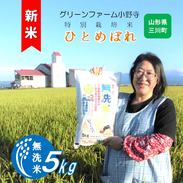 【令和8年産】《無洗米》グリーンファーム小野寺のひとめぼれ5kg　※10月中旬頃から順次配送予定 [PO1-003(GF小野寺)] 《無洗米》ひとめぼれ5kg　￥15,000