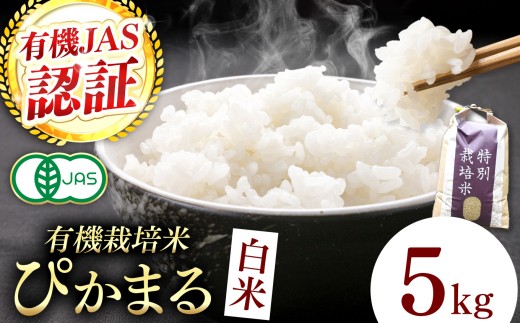 【令和8年産】『タガメの里・自然米』ぴかまる 白米5kg  【有機JAS認証米】 | お米 おこめ 米 コメ こめ ぴかまる 白米 精米 有機JAS認証米 兵庫県 上郡町