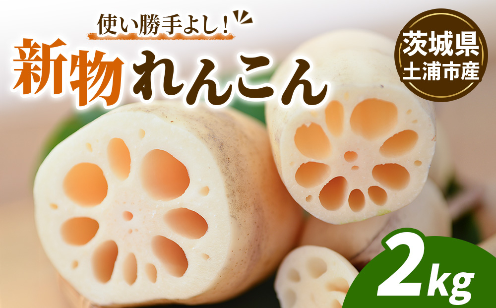 鈴木農園の新物れんこん ご家庭用・使い勝手よし 2kg 炒め物、サラダ、付け合わせに
