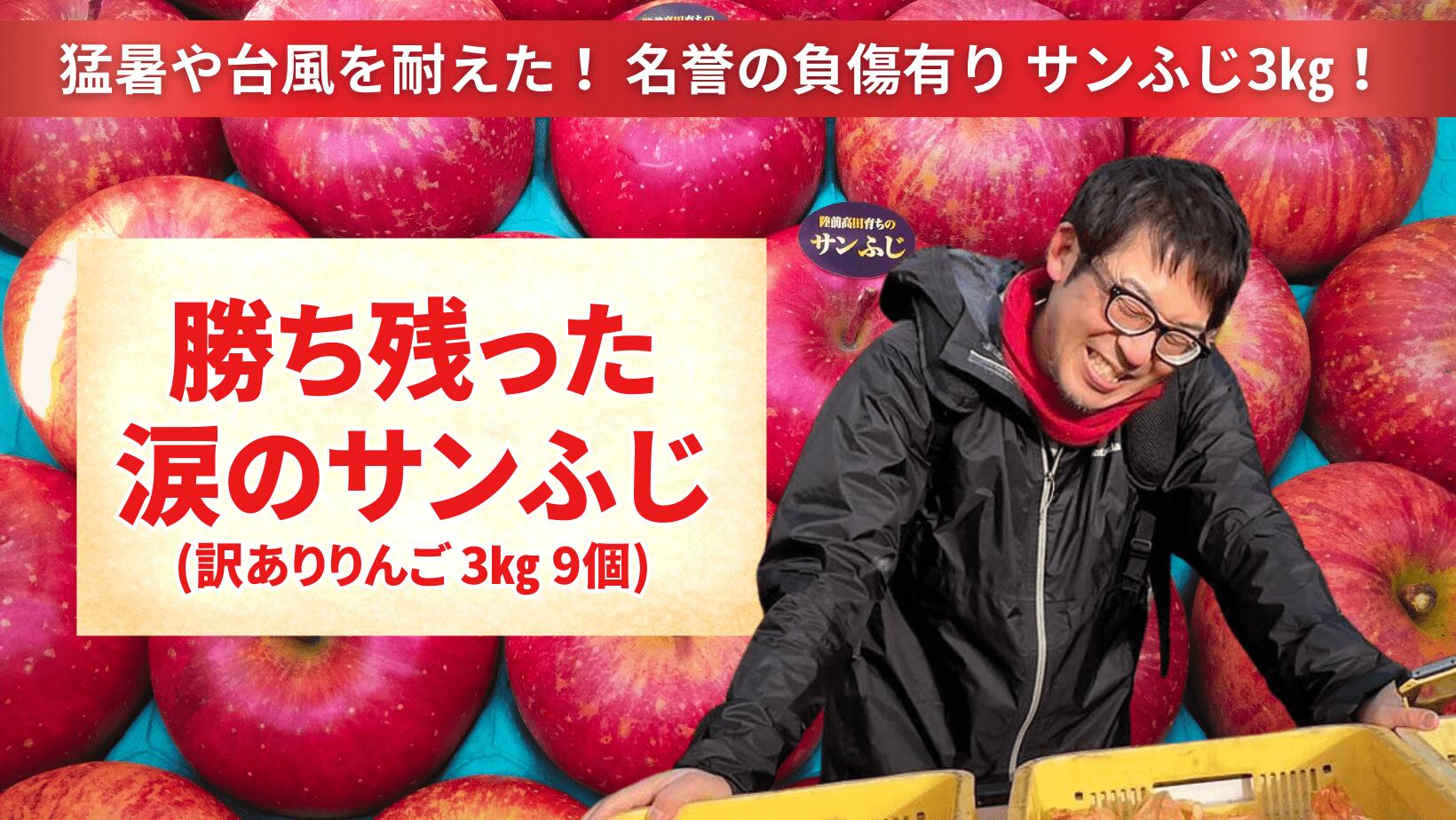 【ふるさと納税】りんご 訳あり サンふじ 約 3kg ( 9〜12個 ) 米崎りんご 【 リンゴ 林檎 フルーツ 果物 くだもの 旬 わけあり 訳アリ 人気 おすすめ お取り寄せ リピート セット 詰め合わせ 勝ち残った涙のサンふじ 国産 岩手 陸前高田 イドバダアップル 】