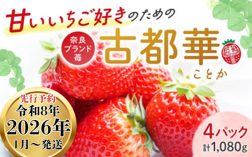 いちご ★★2026年予約販売開始★★【2026年（令和8年）1月～発送】 厳選 大ちゃんの 古都華（２７０ｇ入×４パック）限定出荷 いちご 苺 奈良ブランド苺 イチゴ いちご ブランド 古都華 大粒 苺 旬 国産 贈答用 プレゼント 人気苺   おすすめ苺 いちご農家だるま 奈良県 奈良市 なら 10-195