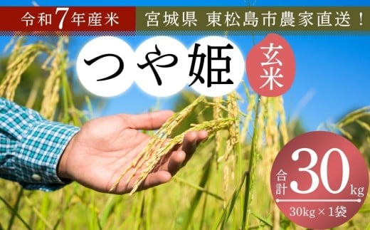 【 令和7年産】【新米】【2025年10月中旬～下旬順次発送予定】 つや姫 玄米 30kg × 1袋 宮城県産東松島市農家直送 つやひめ 米 ご飯 ごはん おにぎり お弁当 お米 こめ 宮城県 東松島市 オンラインワンストップ 自治体マイページ