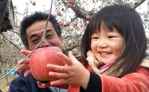 有機農薬使用・完全無肥料栽培「りんご2品種詰合せ」葉とらずりんご約3kg（8～12玉） F7X-0461