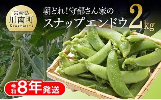 【令和8年発送】朝どれ！守部さん家のスナップエンドウ2.0kg 【 野菜 宮崎県産 エンドウ豆 えんどう豆 おつまみ 2026年発送 】 [C06416]