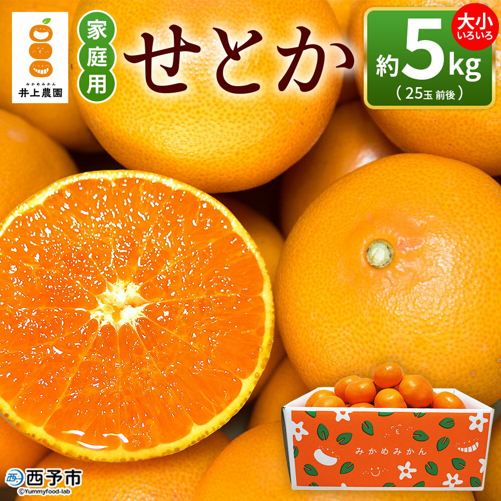 【ふるさと納税】＜せとか 約5kg 家庭用＞ 訳あり 不揃い 25玉前後 お試し 柑橘 みかん ミカン 蜜柑 果物 くだもの フルーツ セトカ オレンジ 濃厚 薄皮 国産 愛媛産 特産品 食べて応援 laugh印 井上農園 愛媛県 西予市【常温】『2026年3月上旬～3月中旬迄に順次出荷予定』