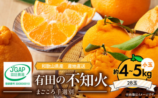 ZE6101n_有田の不知火(しらぬひ）約4kg～5kg　小玉28玉（Sサイズ）まごころ手選別