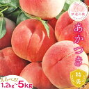 【ふるさと納税】2025年出荷分 先行予約 福島県産 あかつき 約1.2kg 約3kg 約5kg 特秀 糖度12度以上 透過式光センサー選別 2025年7月下旬～2025年8月上旬発送 先行予約 予約 伊達の桃 桃 もも モモ 果物 くだもの フルーツ 名産品 国産 食品 F20C-278var