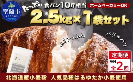 【毎月定期便】北海道産 はるゆたかブレンド小麦粉 シルバーライズ（パン用強力粉）2.5kg 全2回【ふるさと納税 人気 おすすめ ランキング 小麦 小麦粉 粉 シルバーライズ はるゆたか ブレンド パン用 強力粉 穀物 国産 北海道産 食パン パン こむぎ こむぎこ ギフト 贈答 プレゼント 贈り物 定期便 北海道 室蘭市 送料無料】MROBI025