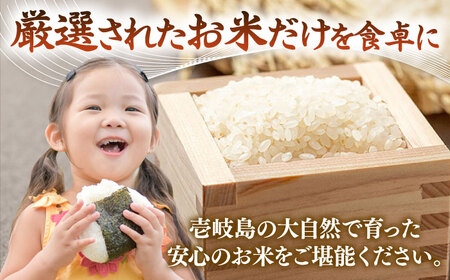 【全3回定期便】 壱岐産米 こしひかり 5kg 《壱岐市》【長米壱岐営業所】[JCZ031]