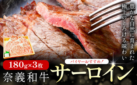 奈義和牛 サーロイン バイヤーおすすめ！ 180g × 3枚 株式会社 天満屋《30日以内に出荷予定(土日祝除く)》岡山県 矢掛町 和牛 牛肉 肉 ステーキ 自宅用 贈答用 送料無料