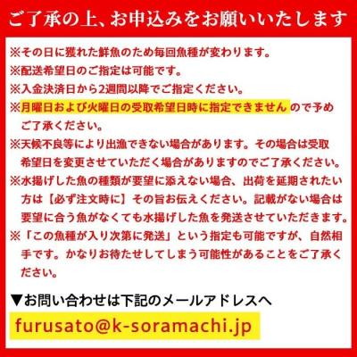 ふるさと納税 肝付町 漁師厳選!ロコフィッシュ(地魚) 鮮魚 ボックス(約2〜3kg)【発泡スチロール包装】　A78005 |  | 02