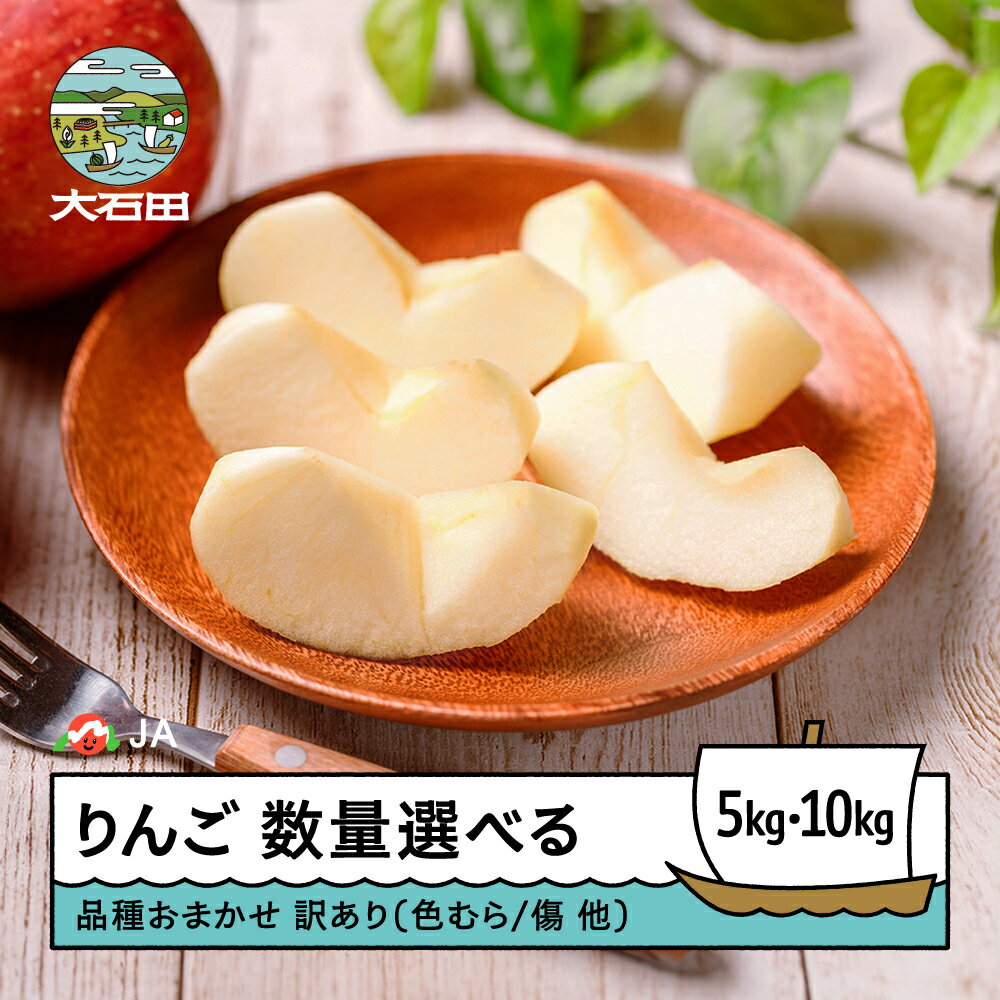 【ふるさと納税】りんご 訳あり 品種おまかせ 昂林 シナノスイート サンふじ 無印 数量を選べる 家庭用 2025年産 令和7年産 送料無料 山形県 大石田 ja-riwax