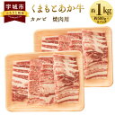 【ふるさと納税】くまもとあか牛 カルビ 焼肉用 合計約1kg 約500g×2パック あか牛 牛肉 和牛 赤身肉 カルビ バラ肉 国産 九州産 熊本県産 焼肉 食品 冷凍 送料無料