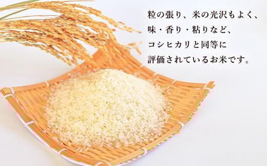 【3ヶ月定期便】大分県産 ひとめぼれ 5kg 計15kg 【2025年11月上旬発送開始】