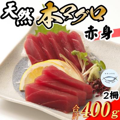 ふるさと納税 室戸市 本マグロ　赤身2柵　(計400g)