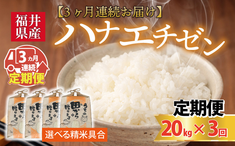 
                  【先行予約】【令和8年産・新米】定期便 ≪3ヶ月連続お届け≫ 【白米・玄米選択可】 ハナエチゼン20kg×3回 計60kg ～本原農園からまごころコメて～ 【2026年9月上旬以降順次発送予定】 [K-8909] 
                