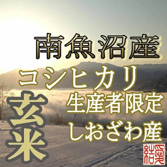 【令和7年産】【定期便】玄米 南魚沼しおざわ産コシヒカリ5Kg×6ヶ月【定期便 銘柄米 ブランド米 玄米 こしひかり コシヒカリ 魚沼産 新潟米 産地直送 お米 米 こめ コメ ご飯 御飯 ごはん】