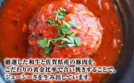 炭焼き 国産 ハンバーグ (トマトソース) 230g×5個＜PUNTO MARE＞那珂川市 ハンバーグ お惣菜 洋食 国産 炭焼き イタリアン トマト 17000 17000円 [GCB004]