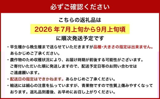 【 ご 家庭用 】 岡山 白桃 2種 2玉 500g 【 2026年7月上旬から9月上旬頃発送予定 】 ／ 果物 くだもの フルーツ もも 桃 甘い 香り 柔らかい ジューシー 美味しい 岡山県 美咲