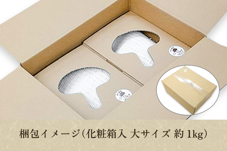 【化粧箱入】生しいたけ 大サイズ 約1kg（19?27個）《順次発送》