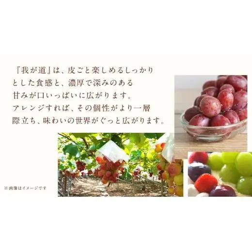 我が道 ２房【2026年9月上旬発送開始】(茨城県共通返礼品：大子町)