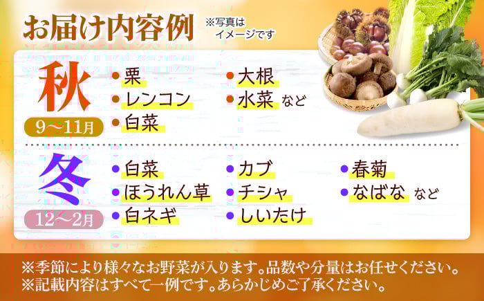 贈答 ギフト 特産品 新鮮 旬の野菜 お野菜