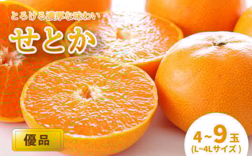 【2月中旬から発送】 せとか 家庭用(優品) （L～4L / 4～9玉）| みかん せとか 優品 柑橘 愛媛県 松山市 松山市産せとか 柑橘の大トロ「せとか」 柑橘 みかん ミカン せとか 優品せとか ふるさと納税せとか