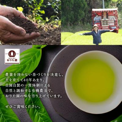 ふるさと納税 南九州市 お徳用抹茶入知覧茶ティーバッグ100個入り2セット |  | 02