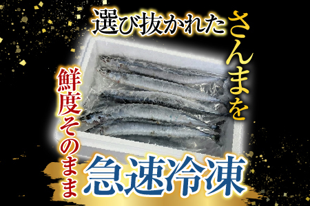 【北海道根室産】冷凍さんま5尾×12P(計60尾) D-76001