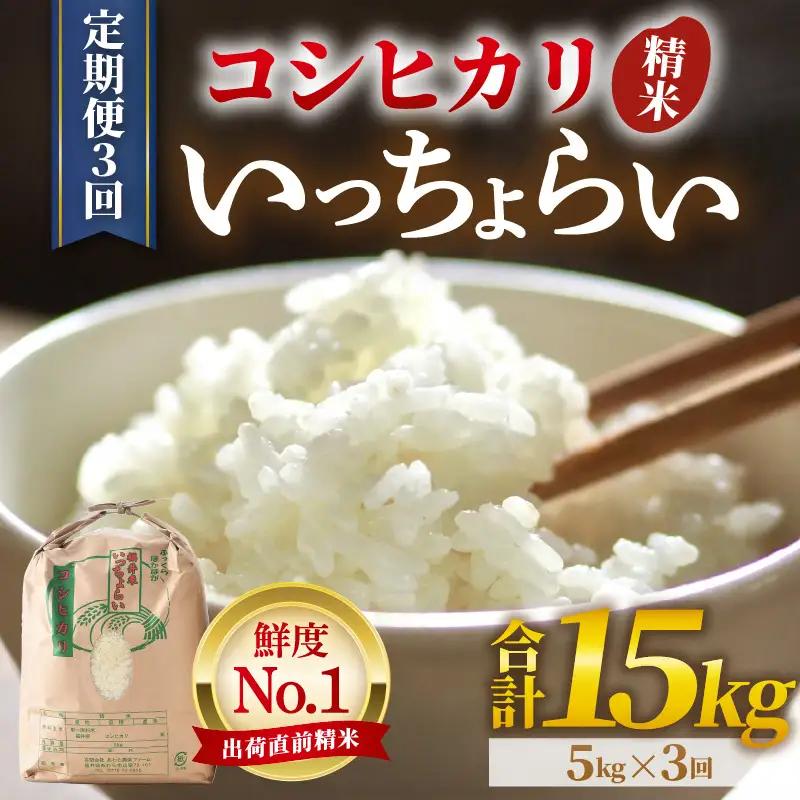 【先行予約】【令和8年産・新米】【一等米】《定期便3回》いっちょらい 精米 5kg × 3回（計15kg）／ 福井県産 ブランド米 コシヒカリ ご飯 白米 新鮮 大賞 受賞 新米 福井県あわら産 ※2026年10月上旬以降順次発送予定 [aw012-b028]