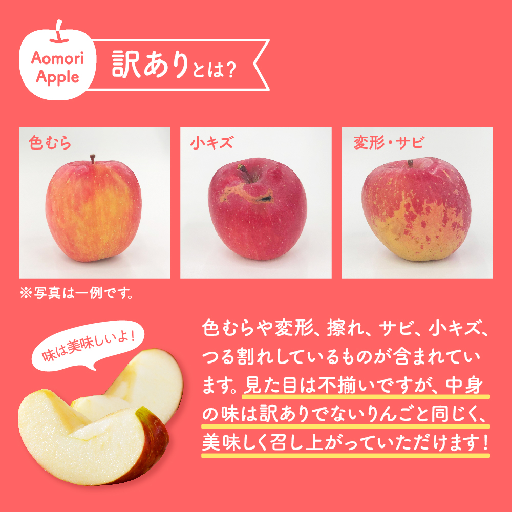 【2026年2月上旬発送】【訳あり】りんご約10kgサンふじ青森産