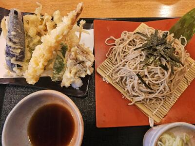 蕎麦 ふのりそば 5袋 |津南町 蕎麦