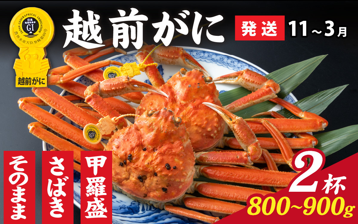 
            【先行予約】選べる！美味しさ直送【成前特選】 越前がに（800g～900g）×2杯【11月～3月発送】  [O-028049]
          