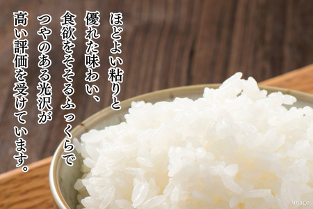 新米 令和7年 佐賀県産「夢しずく」10kg（5kg×2袋）：B240-026