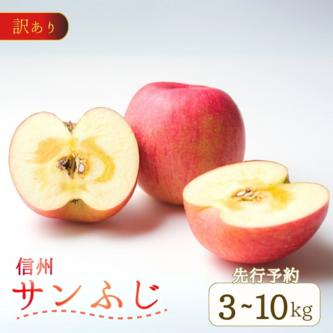 【ふるさと納税】【2025年先行予約】 訳あり りんご サンふじ 約3~10kg (6~40玉) | 果物 フルーツ 長野県産 千曲市 信州 さんふじ サンフジ 林檎 リンゴ 特産品